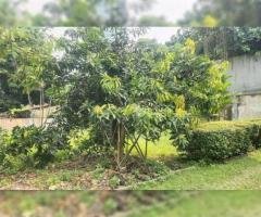 Dijual cepat tanah residensial 600 meter Tebet Jalan Gatot Subroto