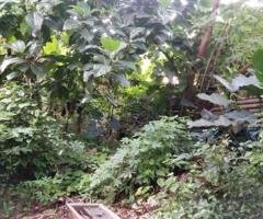 Dijual Cepat Tanah Pinggir Jalan Raya Kalimalang Bekasi Jakarta Timur