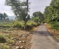 Tanah Dijual Murah di Desa Wanayasa Kab Purwakarta