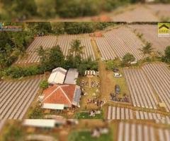Tanah Dijual Murah di Desa Wanayasa Kab Purwakarta