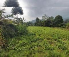 Tanah Dijual Murah di Desa Wanayasa Kab Purwakarta